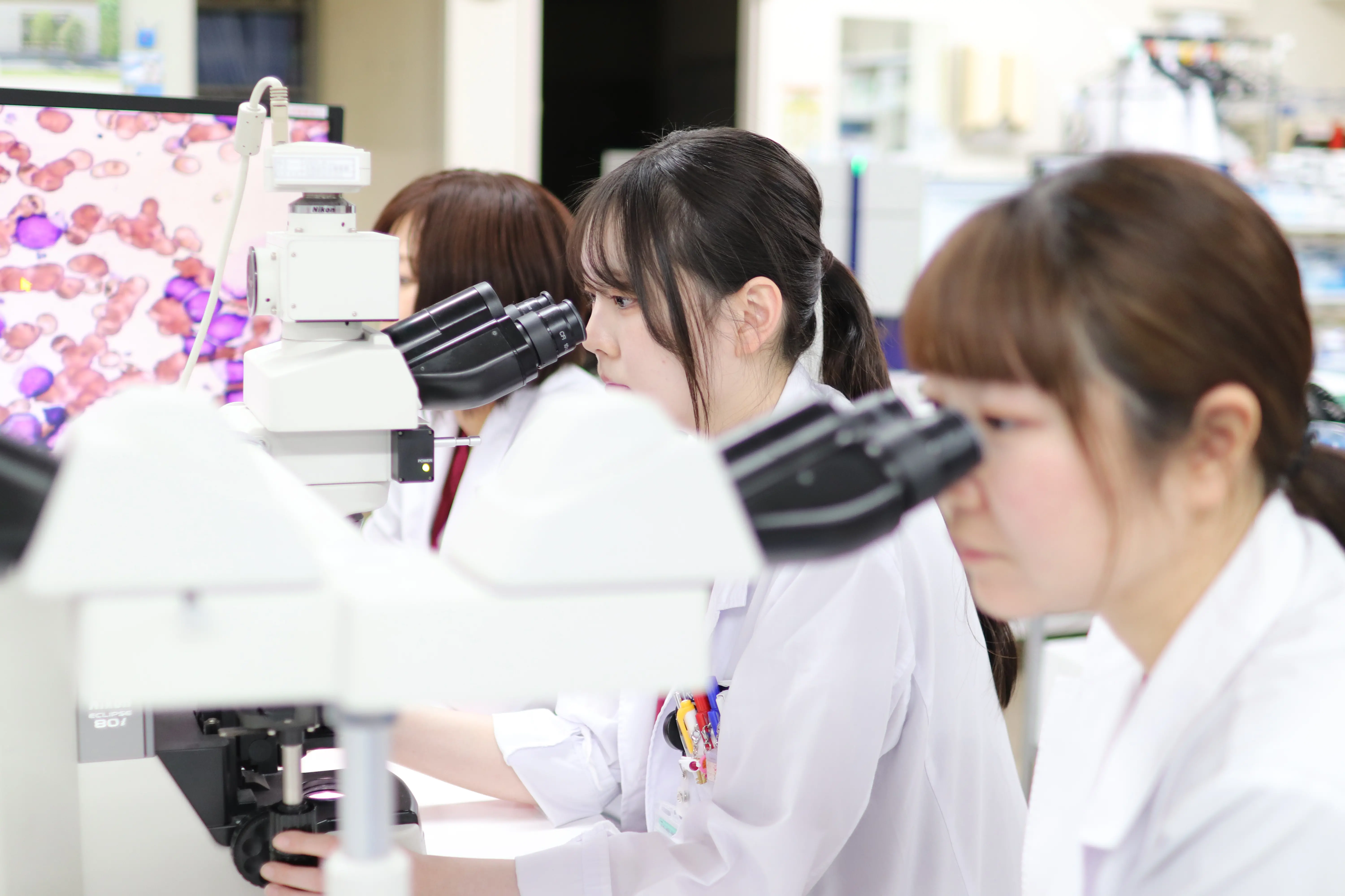 チーム医療のイメージ写真