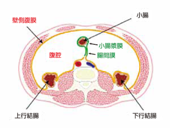 消化器外科手術イメージ